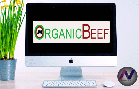 Organic Beef